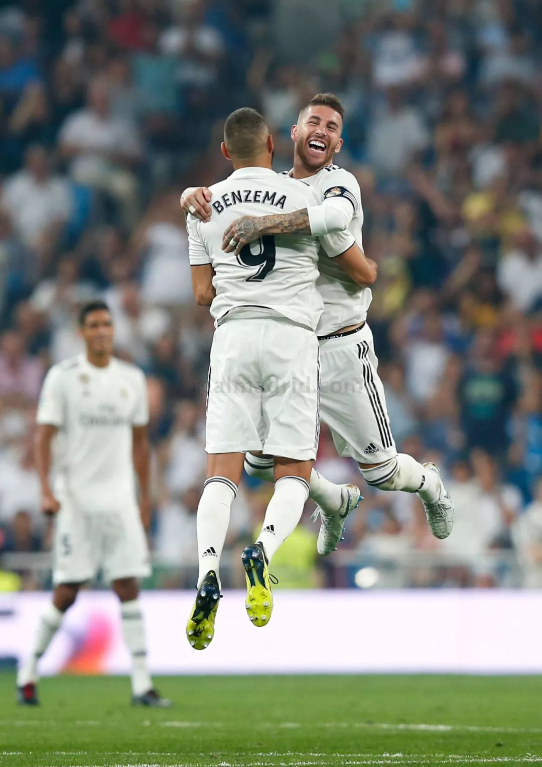 职业生涯的 职业生涯的